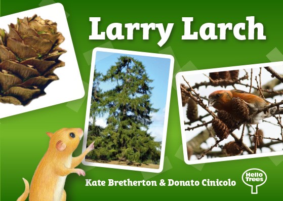 larch